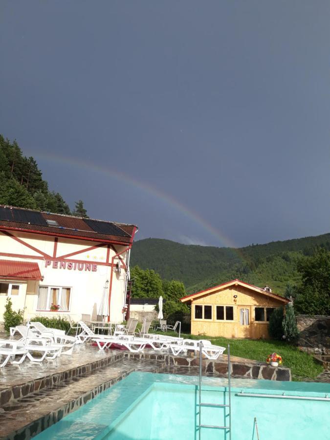 Pensiunea Alpin Păltiniş Dış mekan fotoğraf