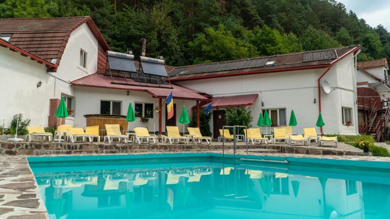 Pensiunea Alpin Păltiniş Dış mekan fotoğraf