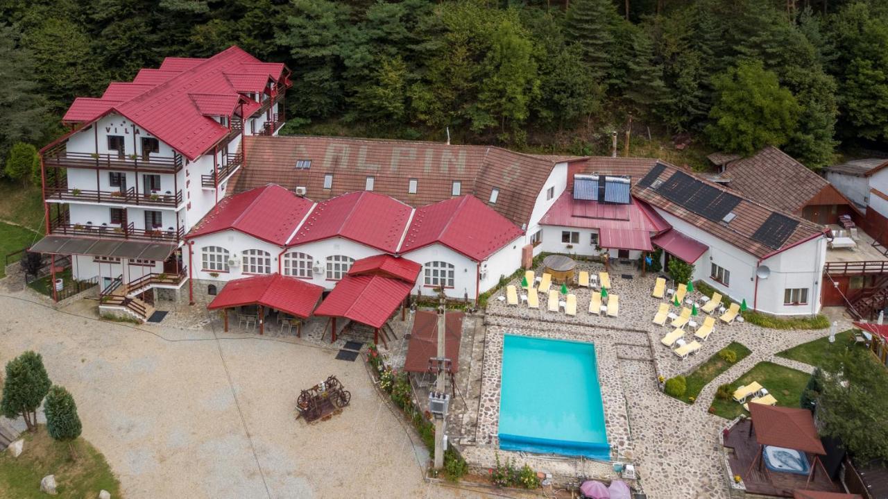 Pensiunea Alpin Păltiniş Dış mekan fotoğraf