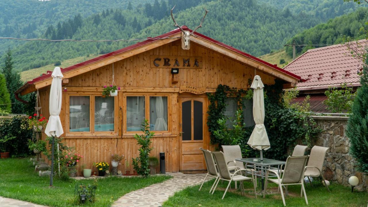 Pensiunea Alpin Păltiniş Dış mekan fotoğraf