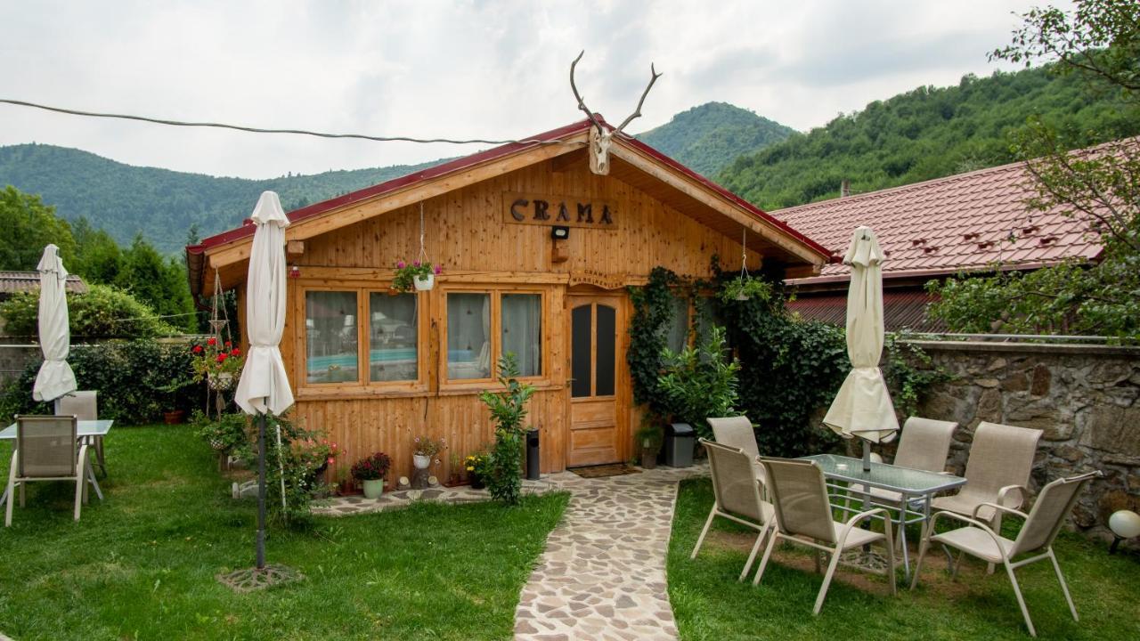 Pensiunea Alpin Păltiniş Dış mekan fotoğraf
