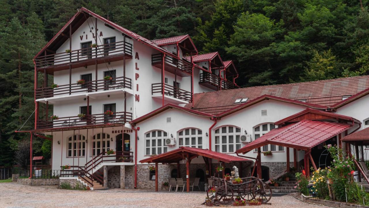 Pensiunea Alpin Păltiniş Dış mekan fotoğraf