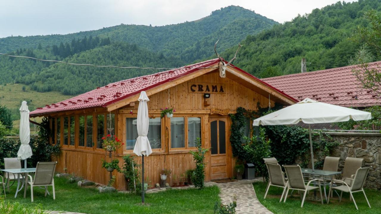 Pensiunea Alpin Păltiniş Dış mekan fotoğraf
