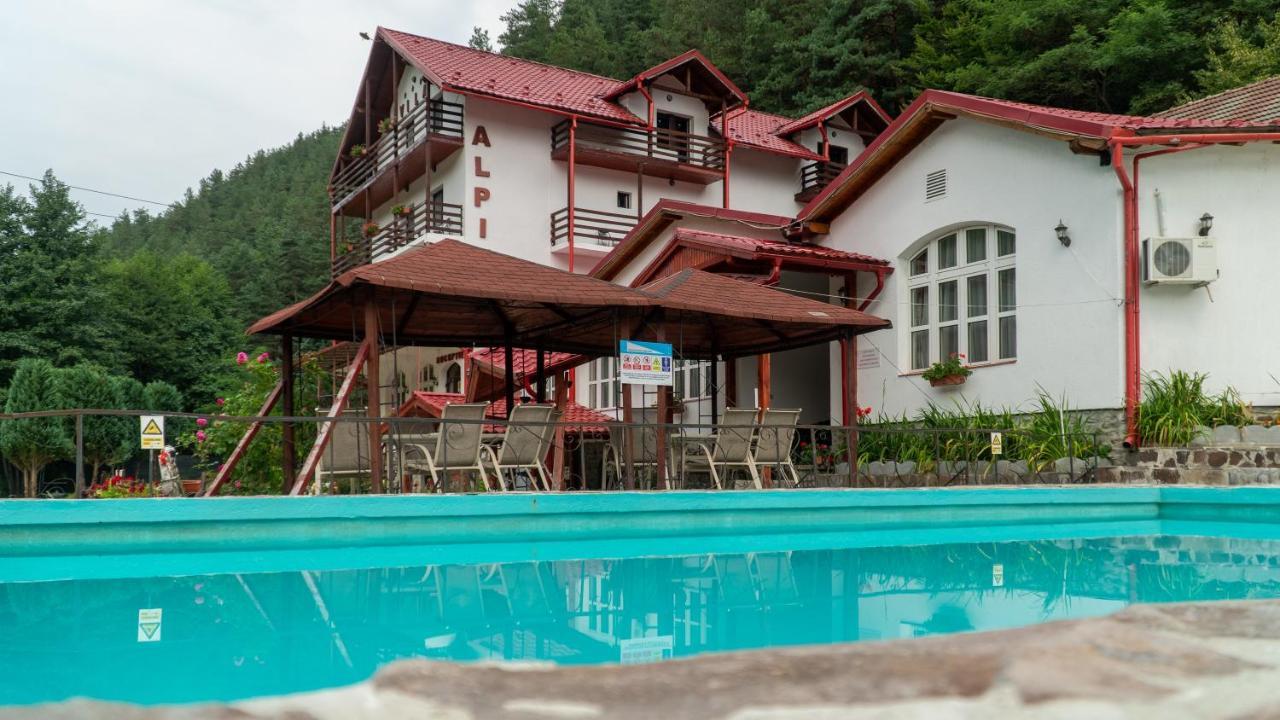 Pensiunea Alpin Păltiniş Dış mekan fotoğraf
