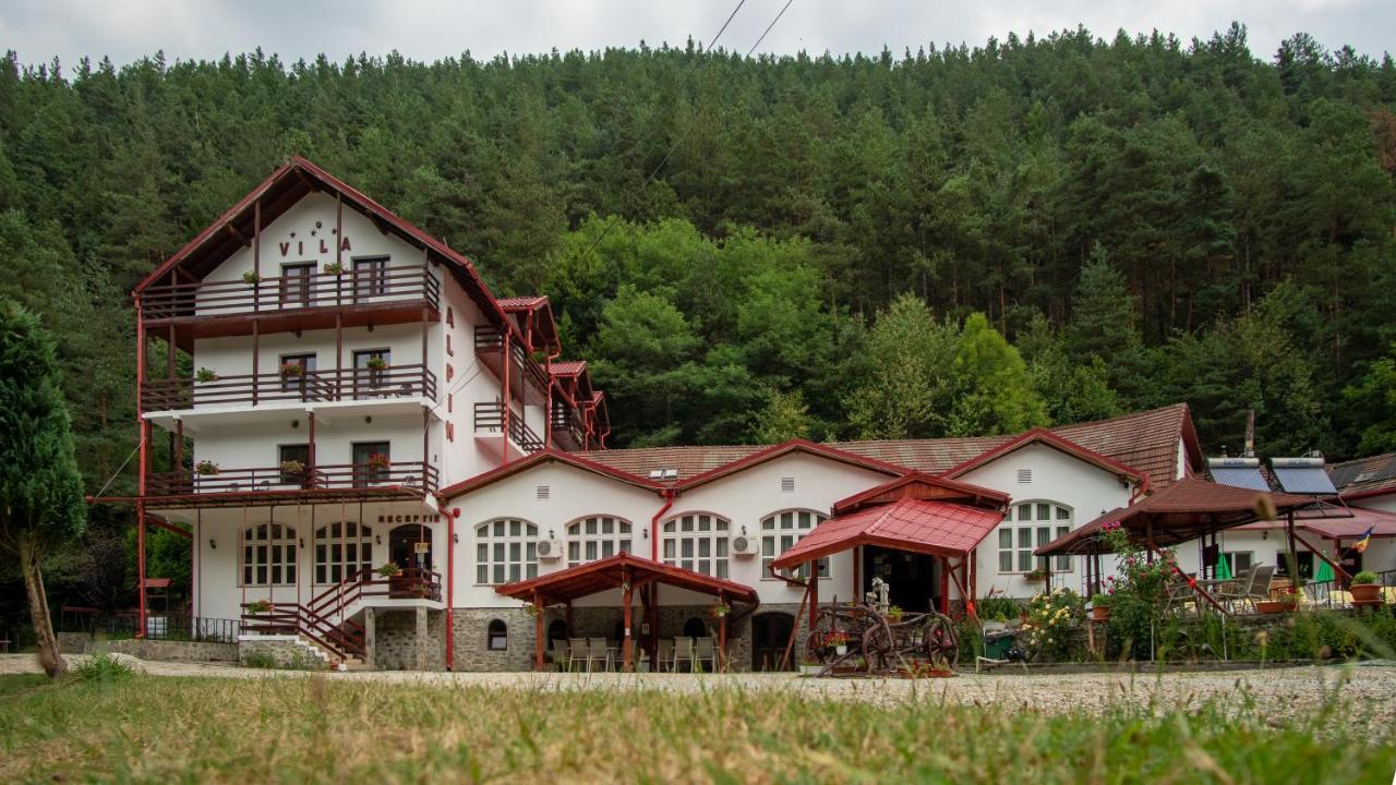 Pensiunea Alpin Păltiniş Dış mekan fotoğraf