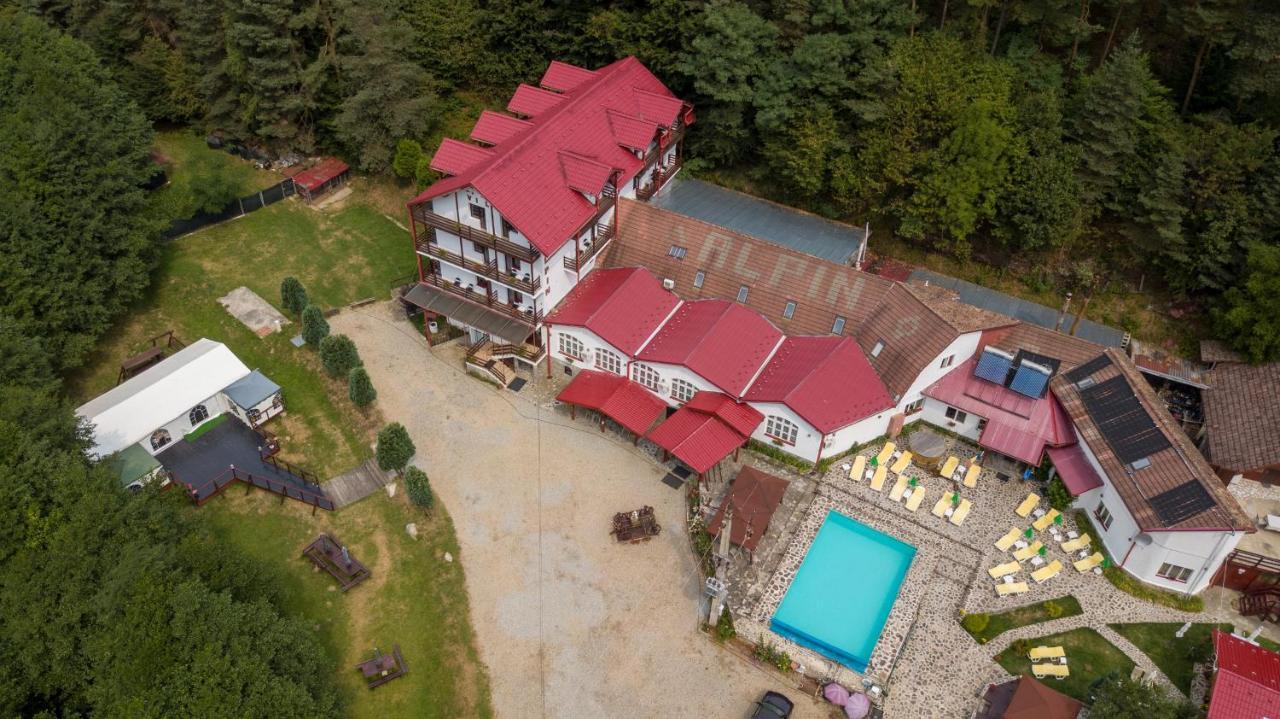 Pensiunea Alpin Păltiniş Dış mekan fotoğraf