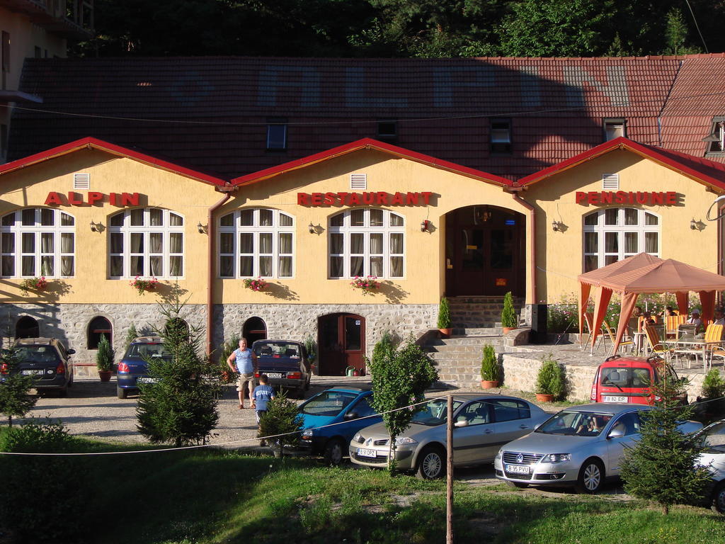 Pensiunea Alpin Păltiniş Dış mekan fotoğraf