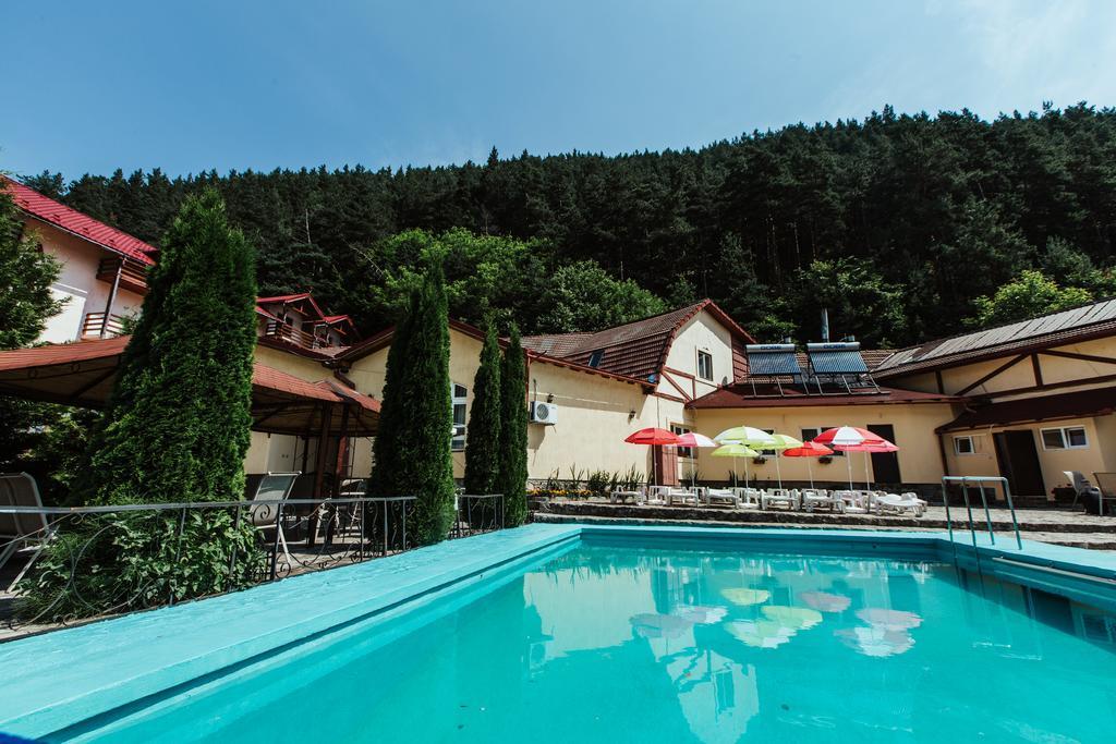 Pensiunea Alpin Păltiniş Dış mekan fotoğraf
