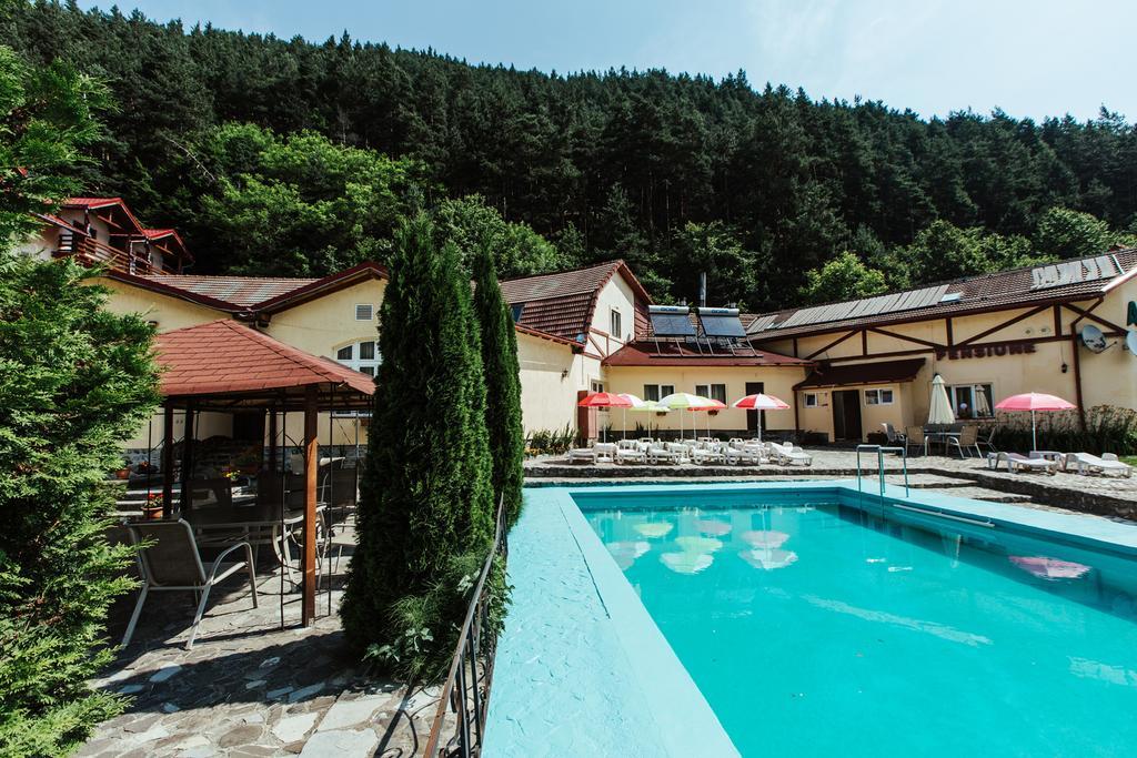 Pensiunea Alpin Păltiniş Dış mekan fotoğraf