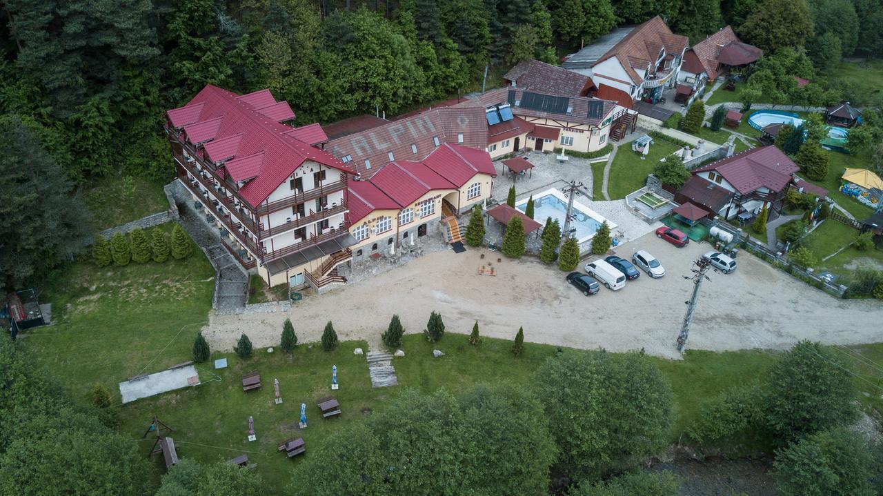 Pensiunea Alpin Păltiniş Dış mekan fotoğraf